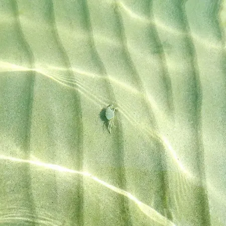 Liberty 아파트호텔