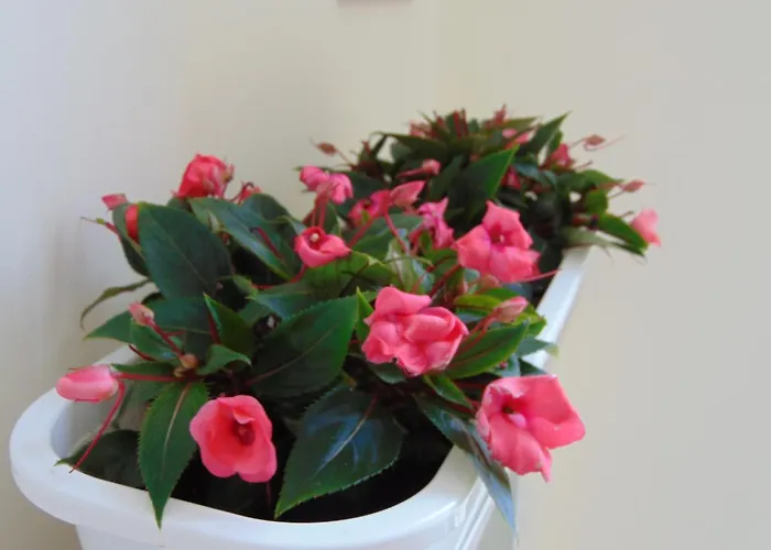 Appart hôtel Liberty 4*