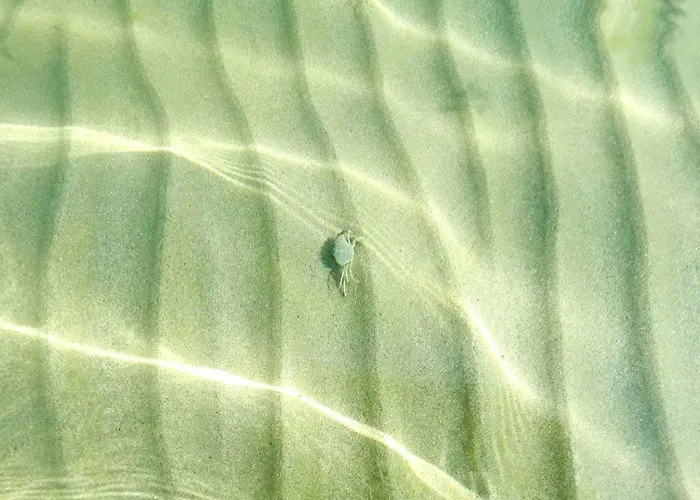 Liberty Appart hôtel